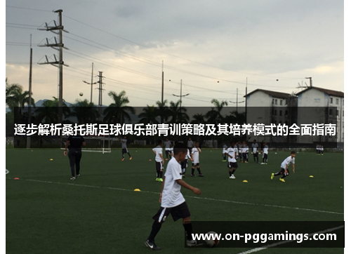 逐步解析桑托斯足球俱乐部青训策略及其培养模式的全面指南