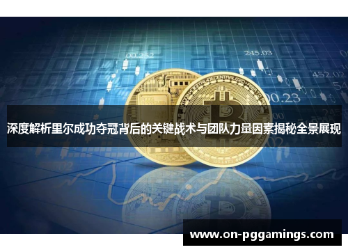 深度解析里尔成功夺冠背后的关键战术与团队力量因素揭秘全景展现